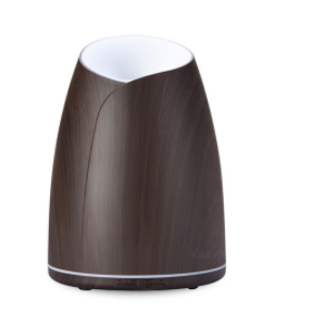 Mini Wooden Air Purifier Diffuser